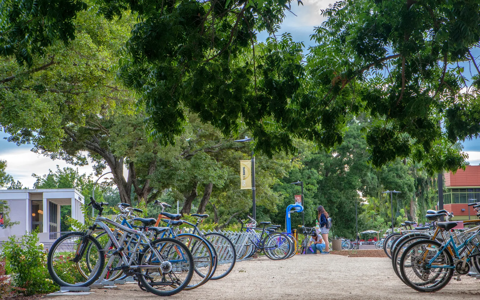 UC Davis campus buildings and landscaping with green lawn and trees